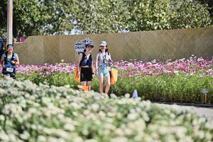 BIB: 
                            <button type="button" onclick="openModal(27792956)" class="btn btn-primary btn-sm float-right btn-popup" data-toggle="modal" data-target=".modal-high-quality">
                        <i class="fas fa-shopping-cart"></i> Add to Cart
                    </button>
                                            <button type="button" onclick="isThisMe(27792956, true)" class="btn btn-success btn-sm float-right btn-popup btn-isme hidden" data-toggle="tooltip" data-placement="bottom" title="นี่คือรูปของคุณใช่ไหม คลิกที่นี่เพื่อเอาเข้าอัลบั้ม">
                        <i class="fas fa-plus"></i> Add to album
                    </button>
                    <button type="button" onclick="isThisMe(27792956, false)" class="btn btn-warning btn-sm float-right btn-popup btn-isnotme hidden">
                        <i class="fas fa-ban"></i> Remove from album
                    </button>